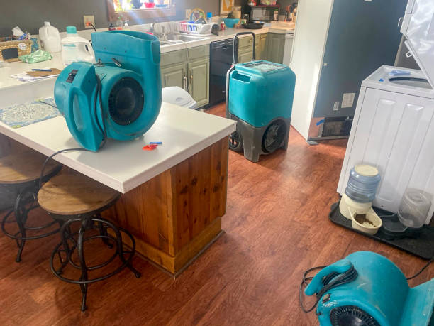 Best Professional water damage repair  in Troutman, NC