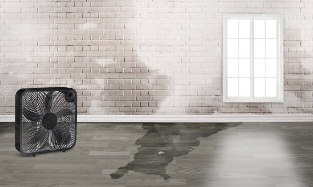 Sewage cleanup and water damage restoration in Troutman, NC