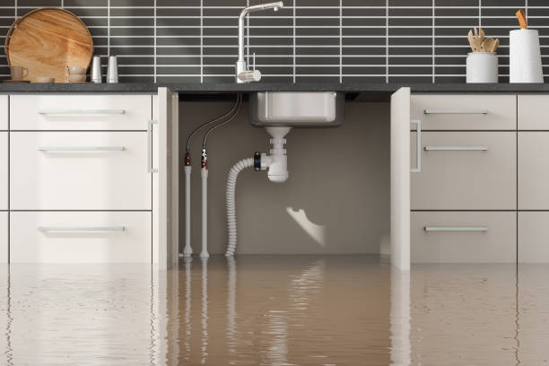 Best Carpet water damage restoration  in Troutman, NC